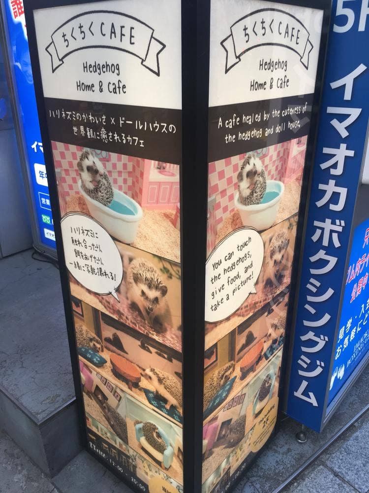 ちくちくCAFE