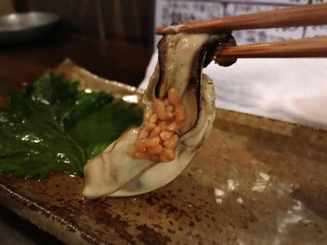 横町酒場 クマネコ - サブ画像3