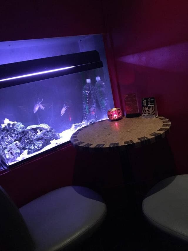 Bar fish - サブ画像3