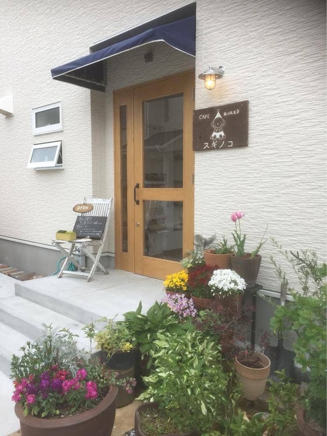 スギノコ - サブ画像2