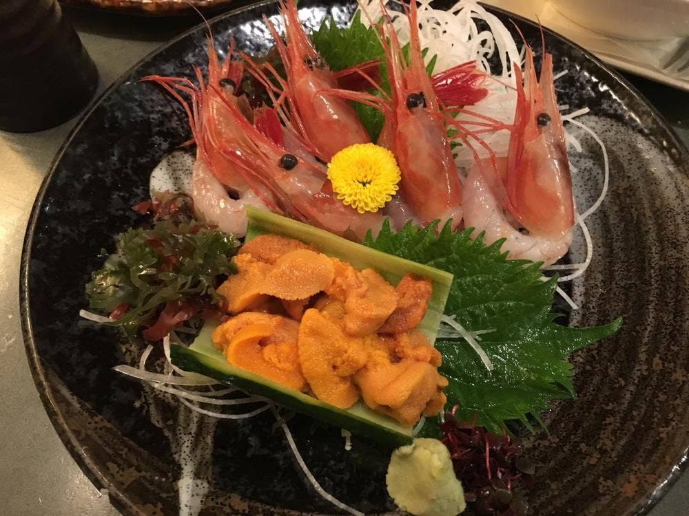琴似のきんぎょ