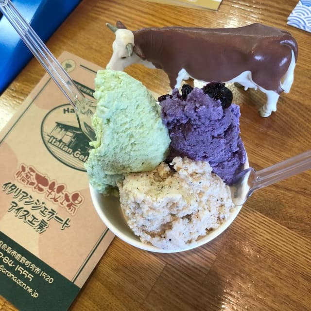 橋本牧場 イタリアンジェラート アイス工房 - サブ画像1