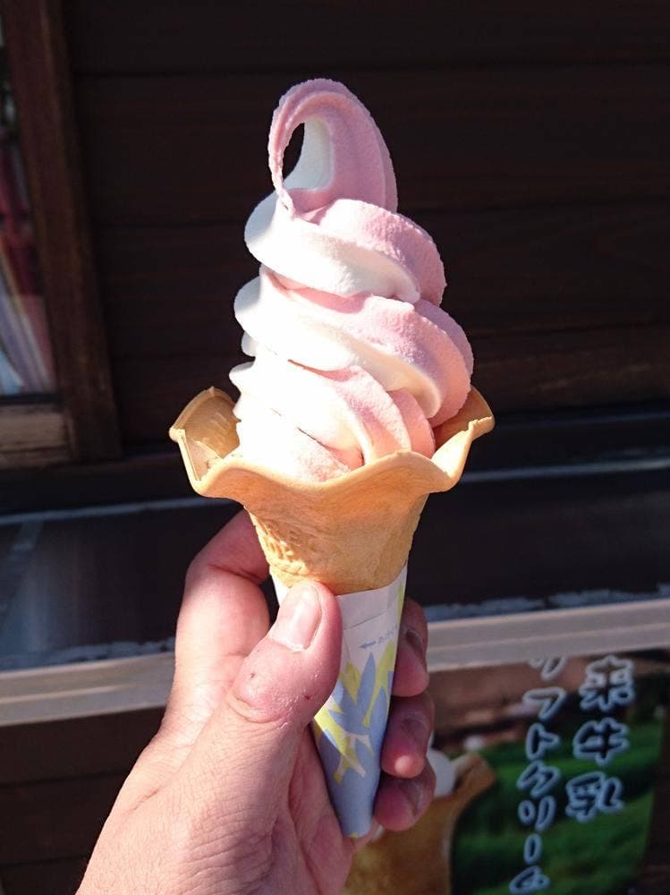 アラエッサヤスギ