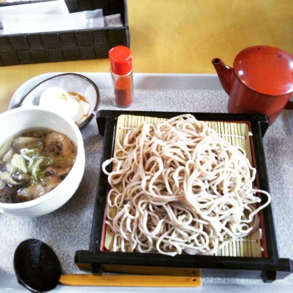 道の駅 田園の里うりゅう あいす館