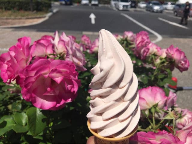 道の駅みなまた - サブ画像3