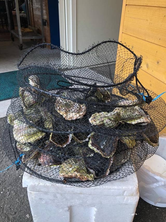 こもぶち うみのいえ こもてらす - サブ画像2