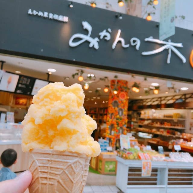 えひめ果実倶楽部みかんの木 ハイカラ通り店 - サブ画像2