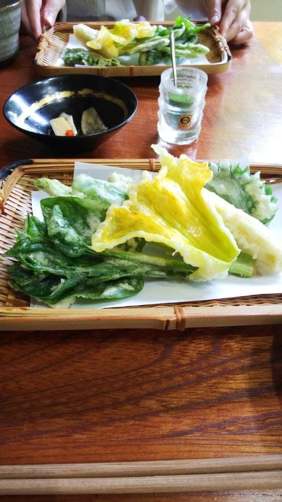 むくの木 - サブ画像2