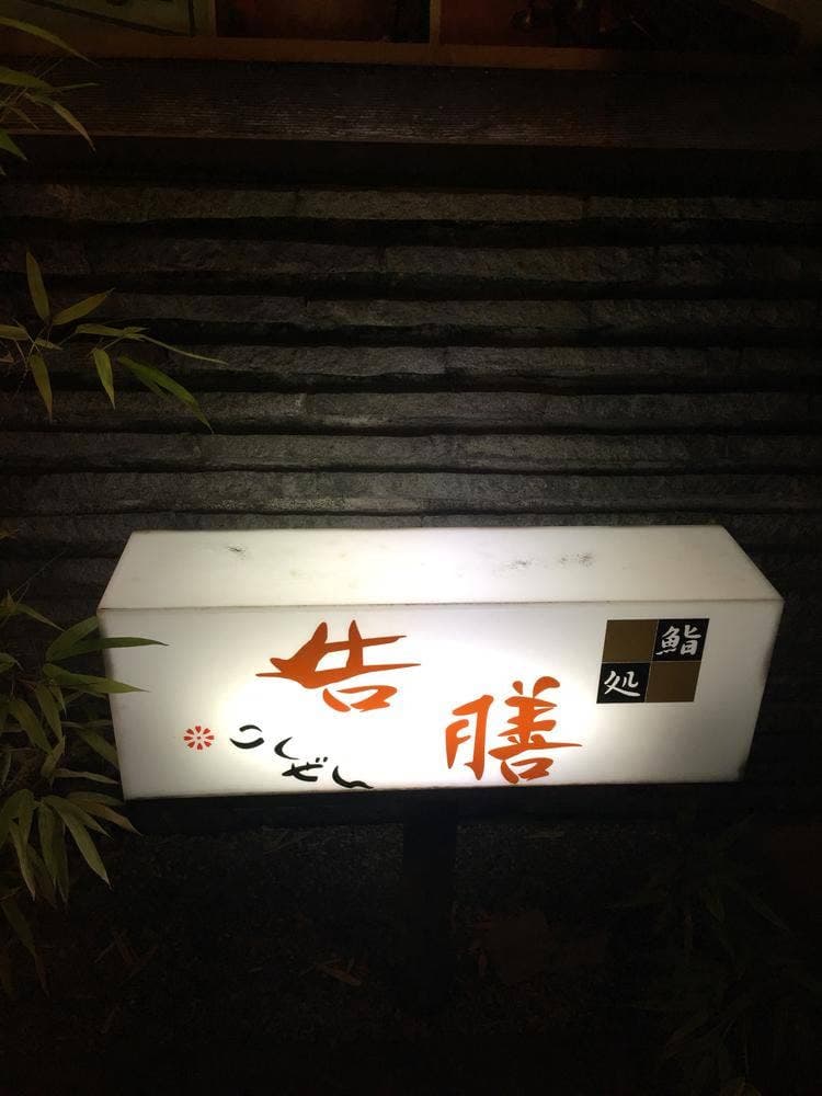 告膳