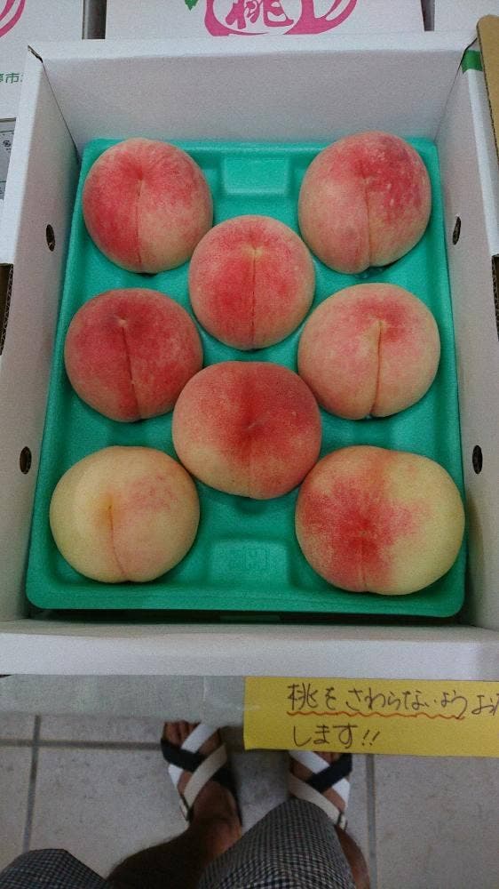 清川ふるさと物産館 夢市場 道の駅きよかわ - サブ画像3