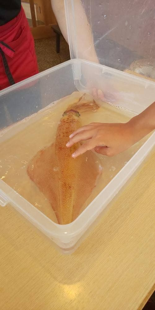 旬魚たつみ 岩美本店 - サブ画像3