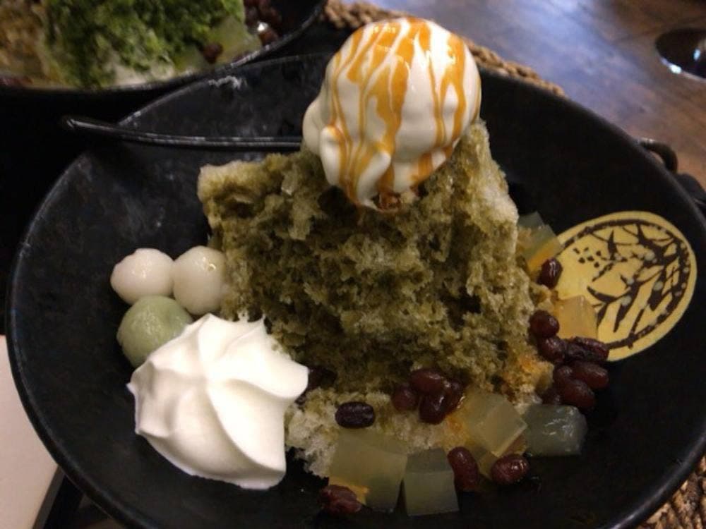 茶の芽