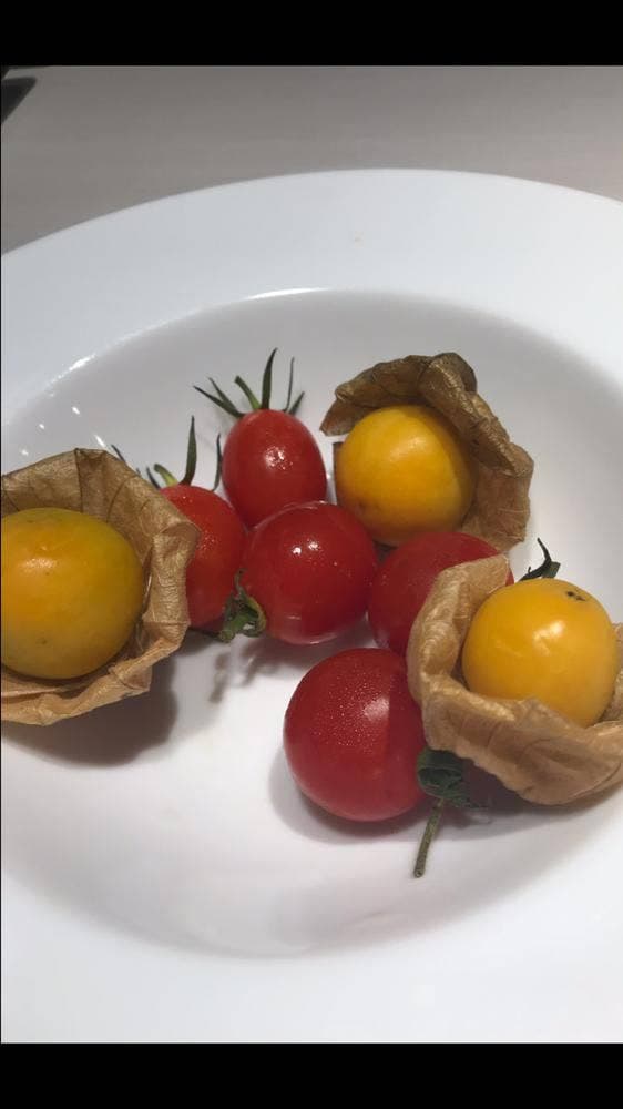 otanto料理人W