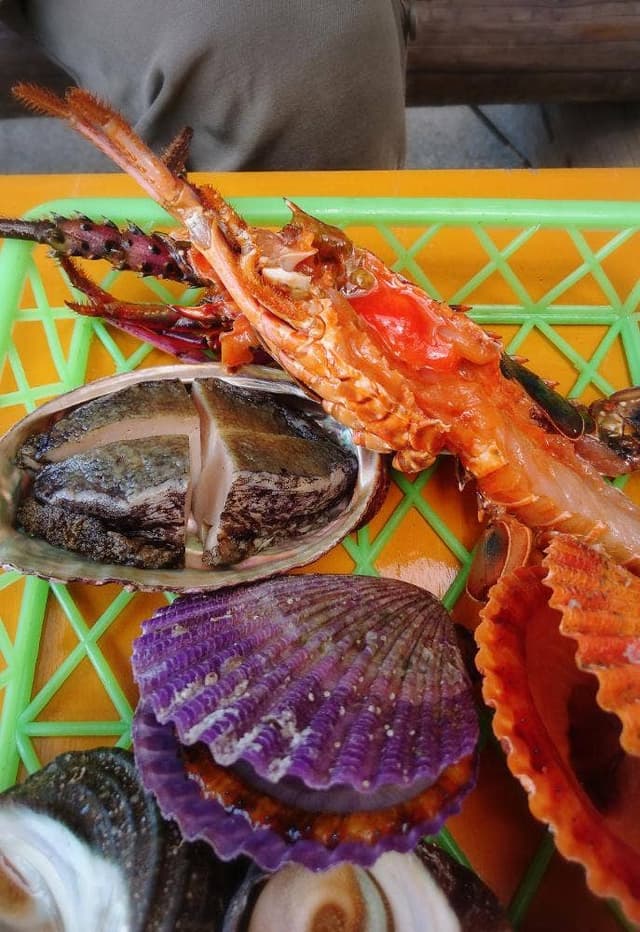 佐田岬灯台ピクニックハウス - サブ画像1