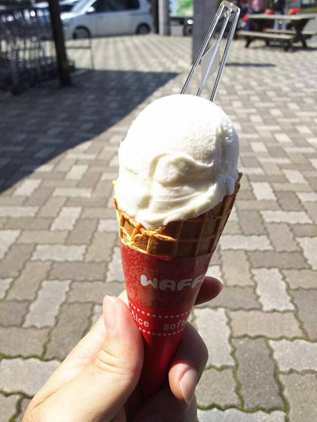 FRESCO 道の駅たからだの里さいた - サブ画像2