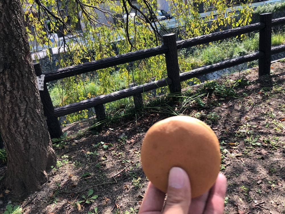 ヴェルジェ・二幸