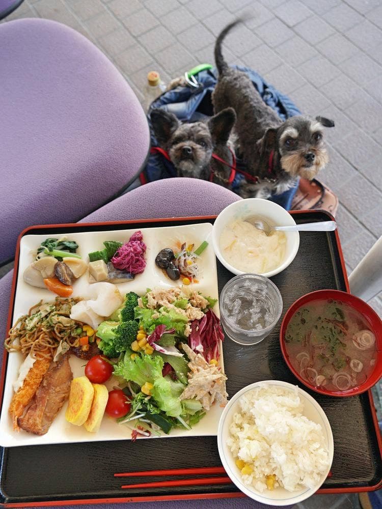 道の駅 むらやま レストラン