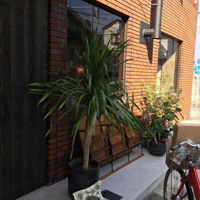大山崎COFFEE ROASTERS - サブ画像3