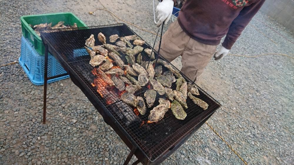 小島水産かき養殖場