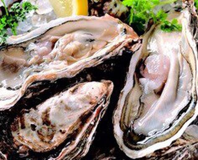 魚桜 咲 - サブ画像1