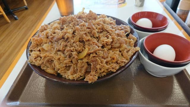 すき家 8号高岡北島店 - サブ画像3