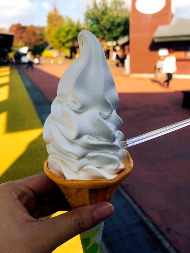 らくのうマザーズ阿蘇ミルク牧場 - サブ画像3