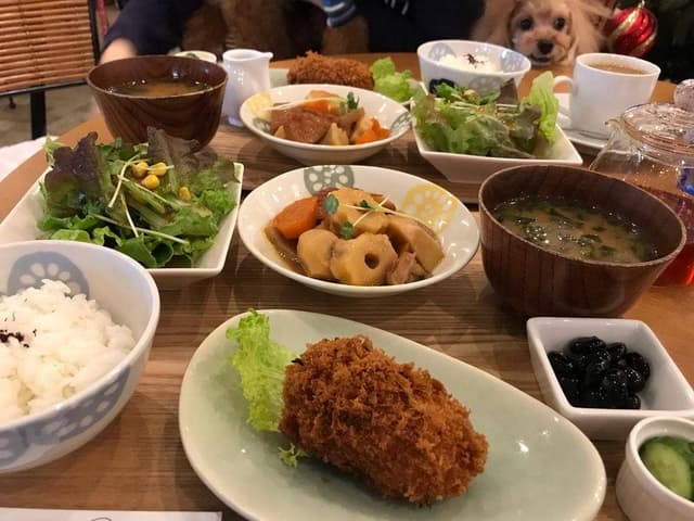 ドッグカフェ プティシアン - サブ画像1