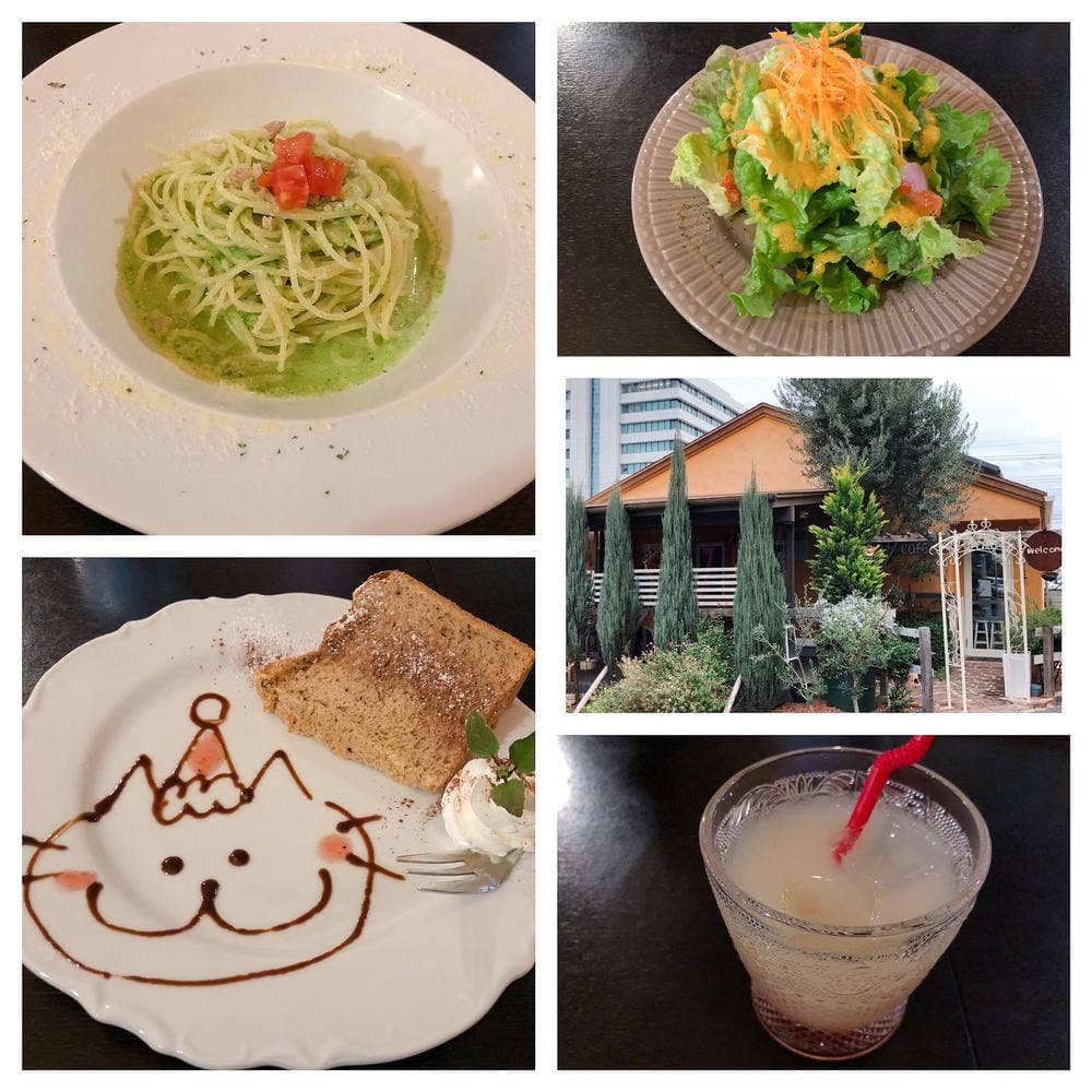 Pranzo Giustizia x my cafe