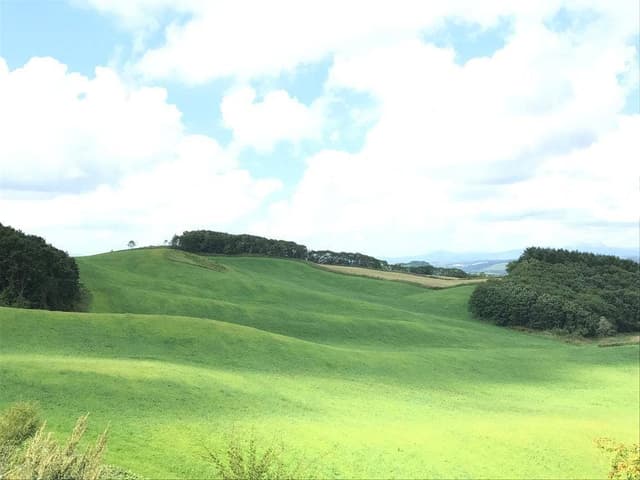 ビストロカフェ デ サングリア - サブ画像3
