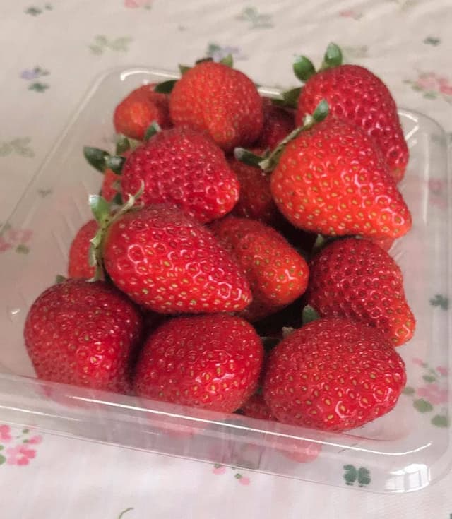 スカイファーム - サブ画像2