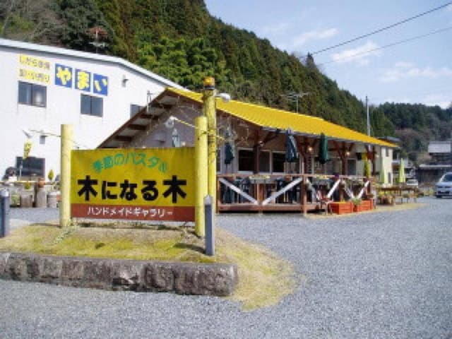 木になる木 - サブ画像1