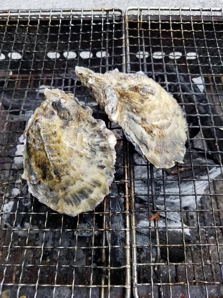 永田カキ直売所