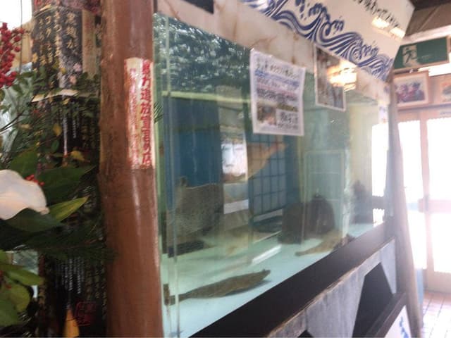 うえだ いけす料理 - サブ画像2