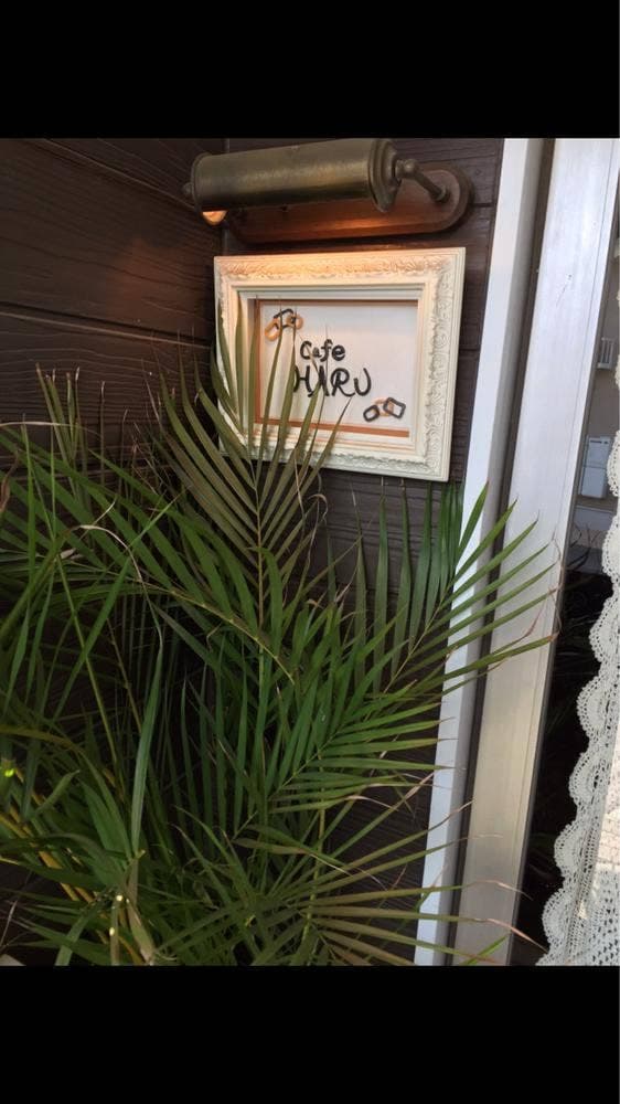 cafe HARU