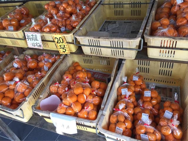 吉田きなはいや - サブ画像3