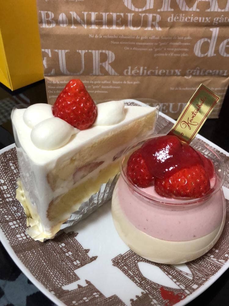 カンツバキ 森本
