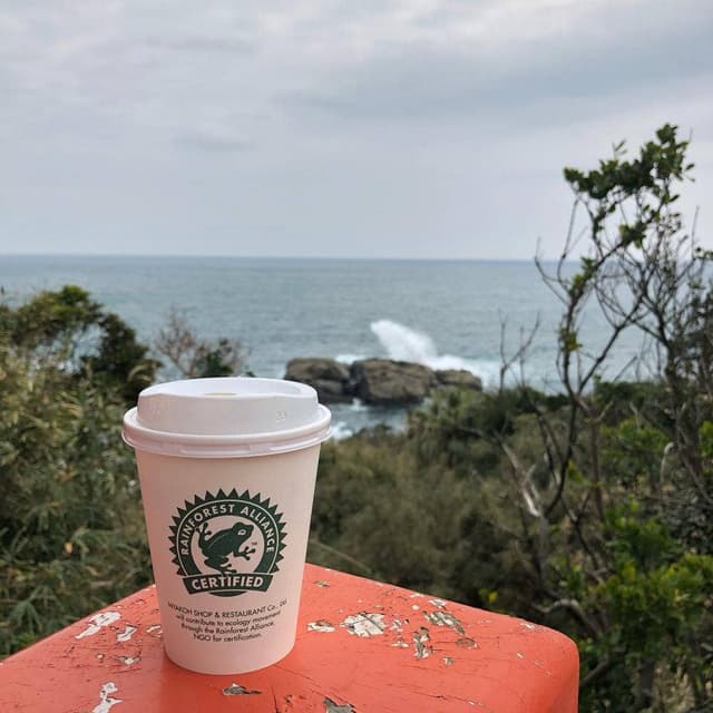 RAINFOREST CAFE 三ツ和荘 - サブ画像2