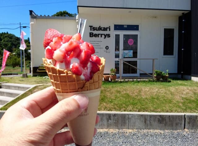 TsukariBerrys - サブ画像3