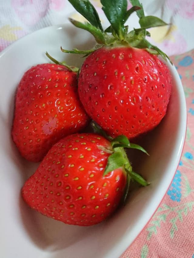 ロードサイドマーケット 岡山市サウスヴィレッジ - サブ画像3