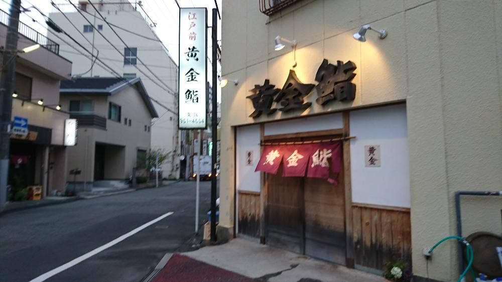 黄金鮨
