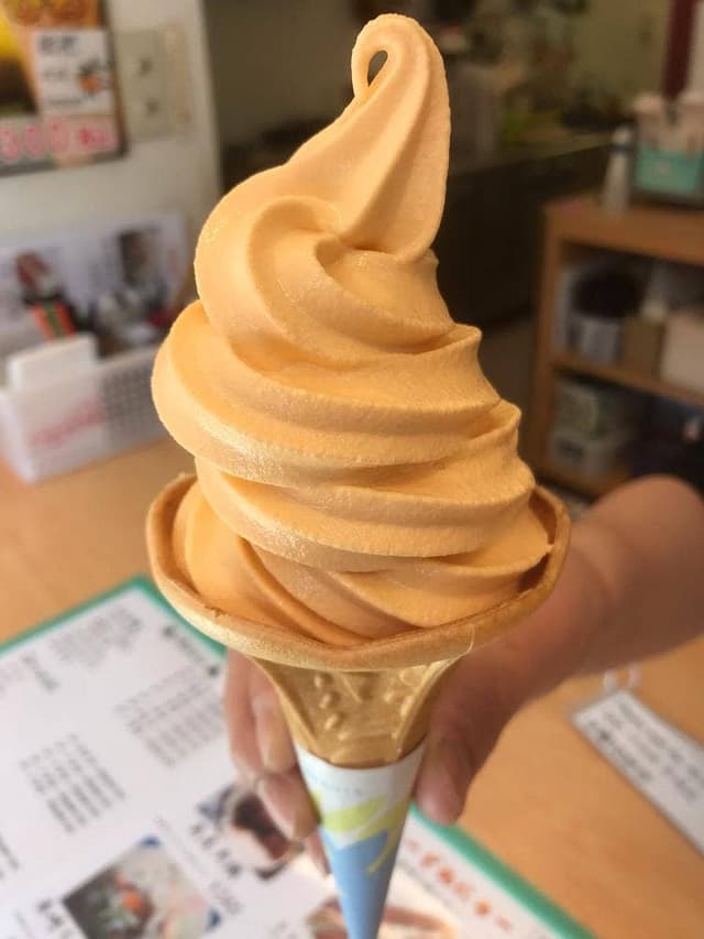 モミノキコア エヌ - サブ画像2