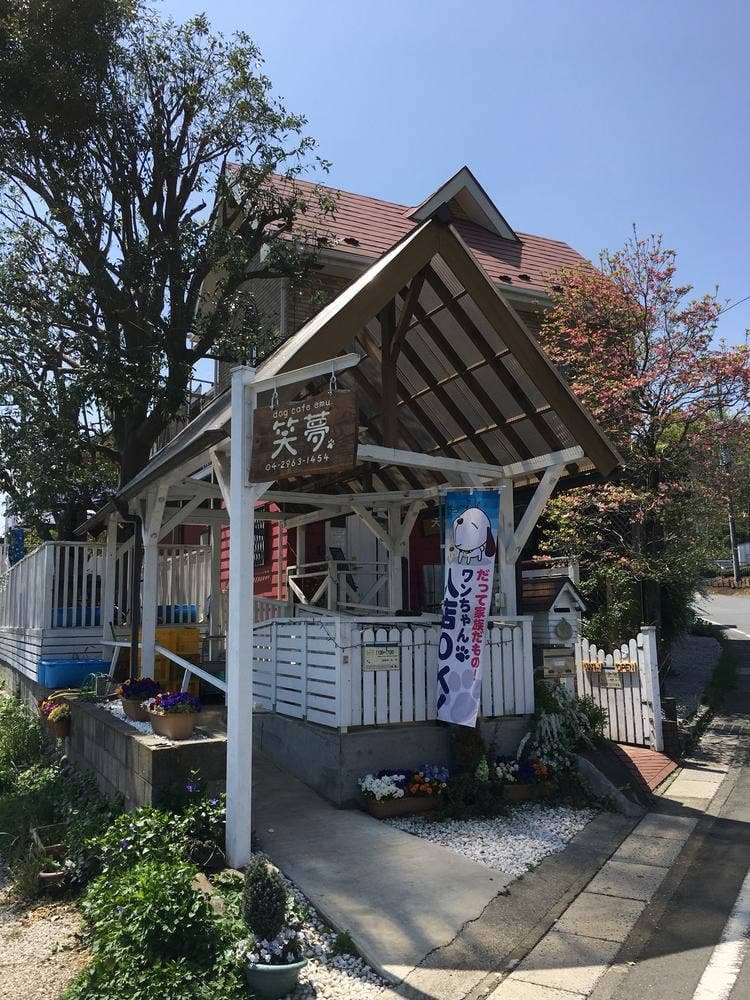 dog cafe 笑夢 emu