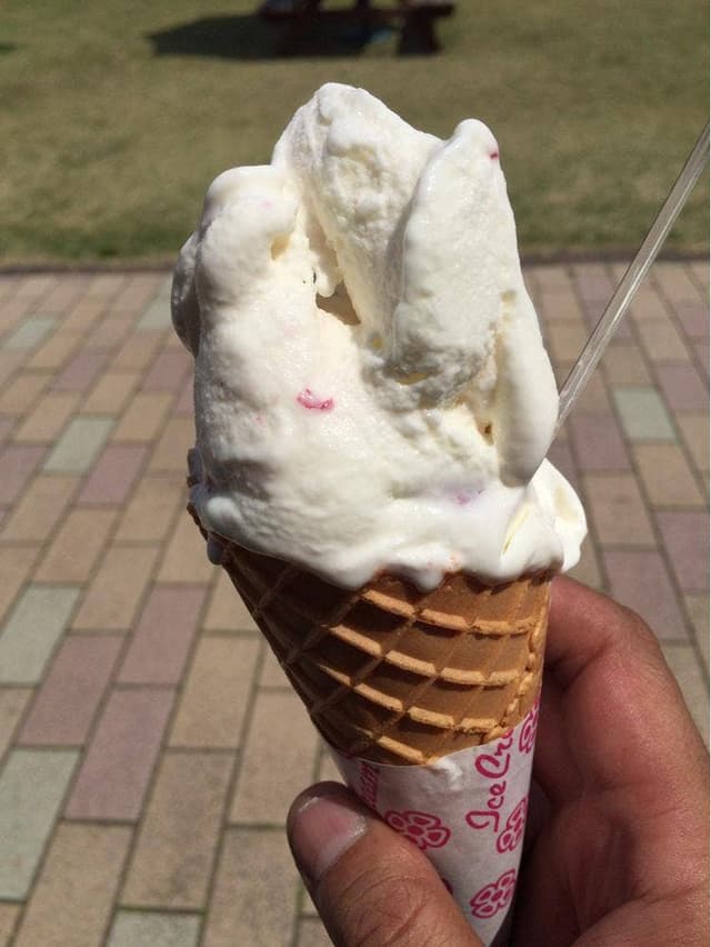 アイスクリーム工房 はがジェラート 道の駅はが - サブ画像3