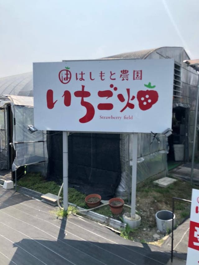 はしもと農園 - サブ画像1