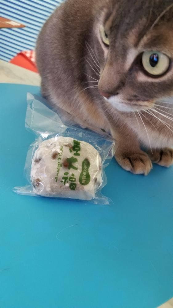 和菓子処 よしだや 本店