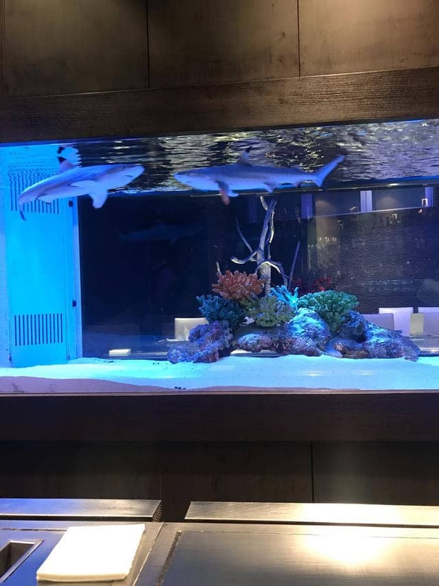 鉄板DINING 集 栄店 - サブ画像3