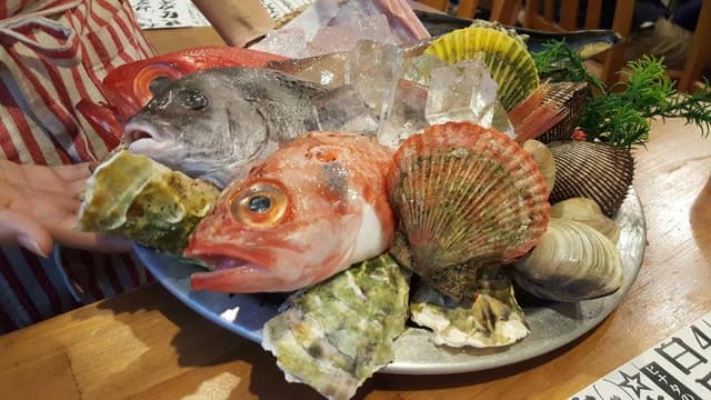 カイセン&ダイニング ヒナタ - サブ画像1