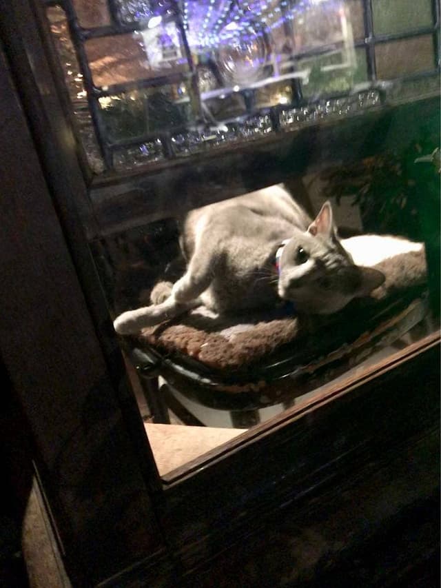 BAR デュエット - サブ画像1