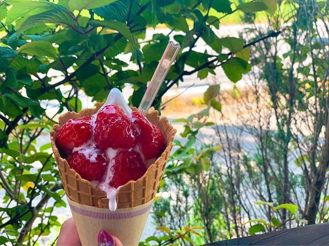 バニラスカイ - サブ画像1