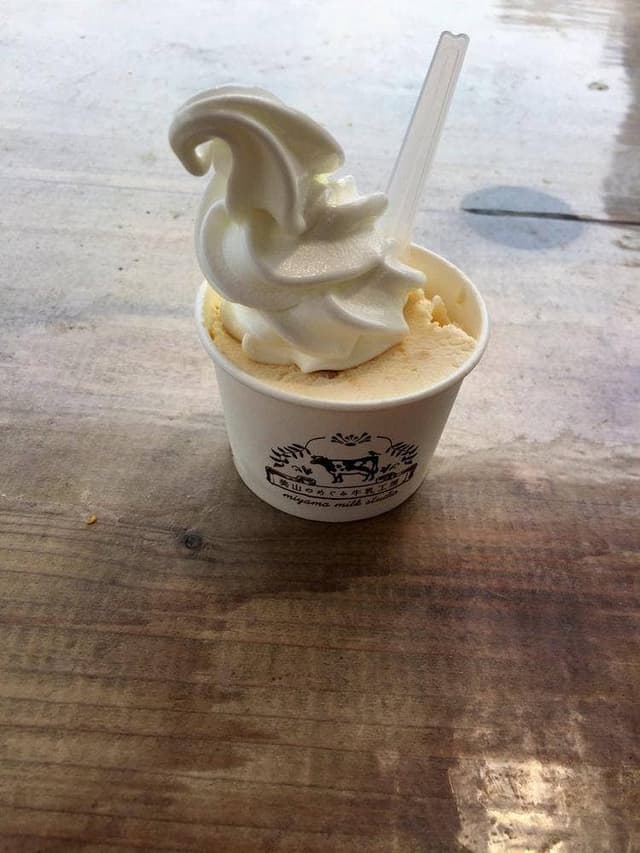 美山のめぐみ牛乳工房 美山道の駅店 - サブ画像3